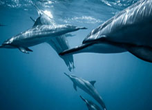 B体育网址——开启体育世界的新纪元